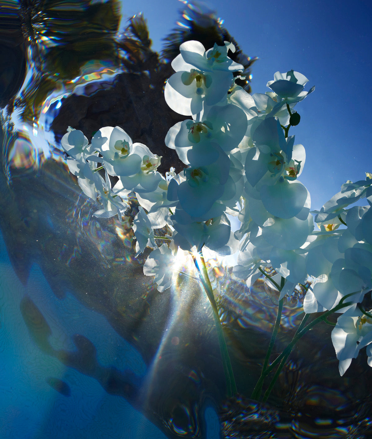 Partition de Fleurs